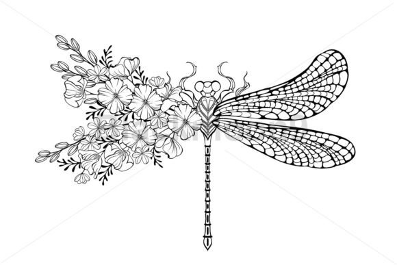 Download Dragonfly with Contour California Poppy - Tour Collection