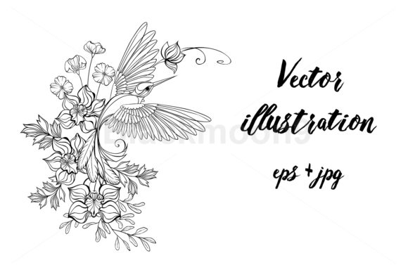 Download Contour Hummingbird with Orchids - Tour Collection